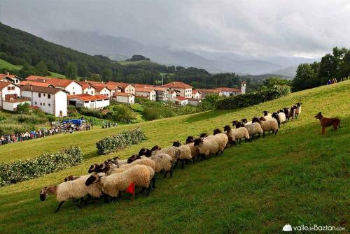 11879231_10155963319100154_6726888892819239414_o
